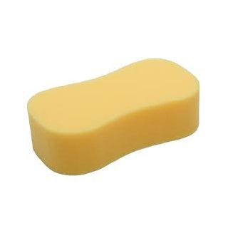 General Purpose Giant Sponge Fbs